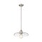 Z-Lite Paloma Pendant, 1-Light, 14 In.W x 6.25 In.H, Brushed Nickel/Clear 821P14-BN - alternate 8